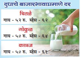 milk rates