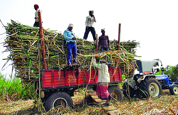 sugarcane workers in maharashtra