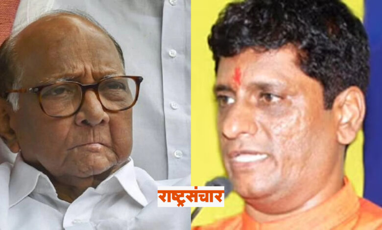 anand dave and sharad pawar