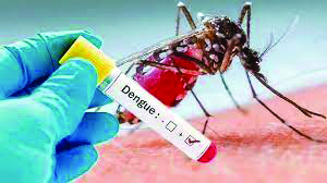 dengue