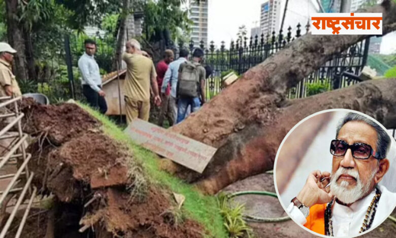 Balasaheb thackeray Tree