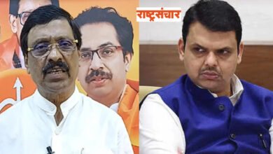 Raut And Fadnavis