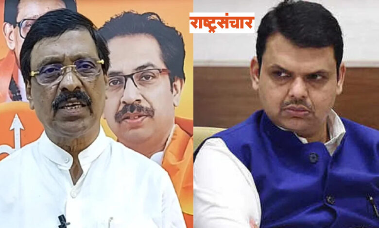 Raut And Fadnavis