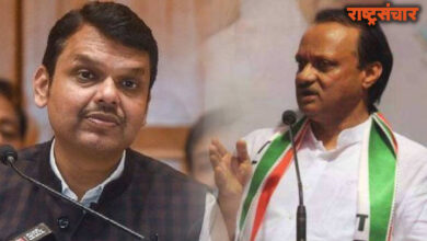 Pawar and Fadnavis