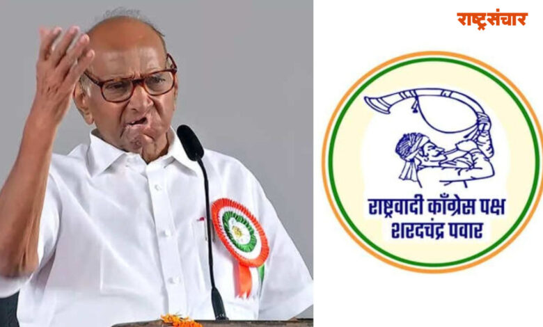 More than 300 candidates from NCP Sharad Chandra Pawar party in five districts gave interviews