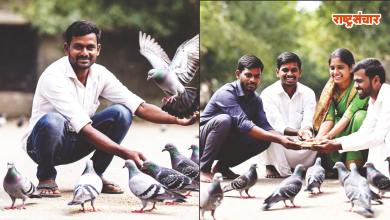 action-against-those-who-feed-pigeons